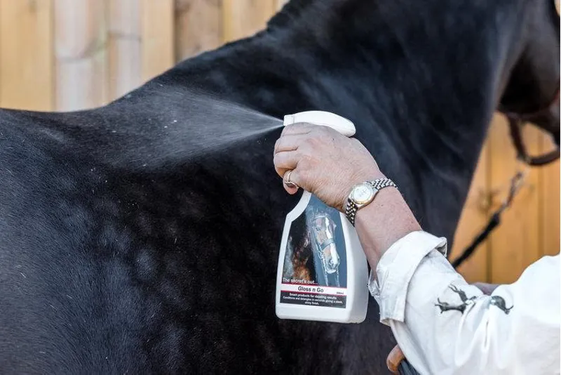 Smart Grooming Gloss And Go 500ml Finishing Spray In White 2 Smart Grooming Gloss And Go 500ml Finishing Spray In White - Image 2