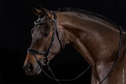 Schockemohle Equitus Beta Glam Anatomical Bridle Black-Patent-Silver -Lemieux Shop 1101 00069 1 Schockemoehle Sports Trense Equitus Beta Glam black patent silver 3h5e24BmJW7KPn