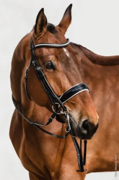 Schockemohle Venice Double Bridle Black-Patent-White-Silver 4 Schockemohle Venice Double Bridle Black-Patent-White-Silver -Lemieux Shop 1111 00009 10 Schockemoehle Sports Kandare Venice blackpatentwhitesilver 26ana251zkN2bE