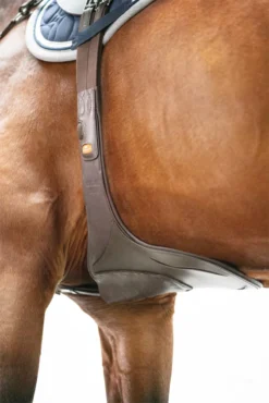 Schockemohle Oklahoma Stud Guard Girth Espresso-Silver -Lemieux Shop 1152 00014 8 Schockemoehle Sports Stollenschutzgurt Oklahoma espresso 6uZDEsIsQbZ0aE