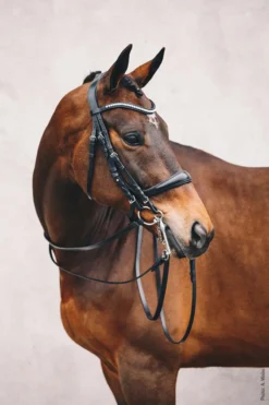 Schockemohle Equitus Gamma Anatomic Double Bridle Black-Silver 6 Schockemohle Equitus Gamma Anatomic Double Bridle Black-Silver -Lemieux Shop 245 1111 00011 Equitus Gamma img2iA7e0934CldZD