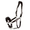 Schockemohle Fremont Leather Headcollar Espresso-Silver