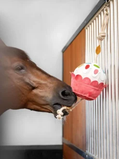 LeMieux Horse Toy - Cake