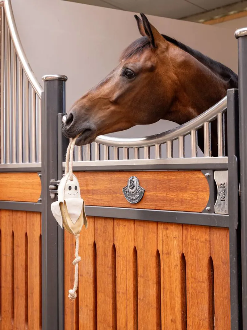 LeMieux Horse Toy - Banana 1 LeMieux Horse Toy - Banana