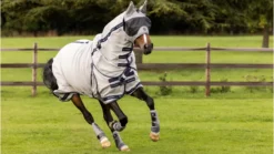 Lemieux Kudos Gladiator Fly Rug -Lemieux Shop 3n6a4906 copy