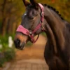 LeMieux Vogue Headcollar Orchid
