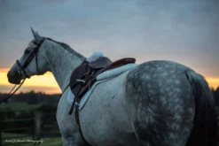 ThinLine Sheepskin Comfort Half Pad- Natural Black/ Natural -Lemieux Shop 962 084ec7608598785faaf5a625c5e092c9