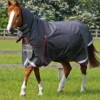 Premier Equine Buster 150g Turnout With Classic Neck Cover Grey