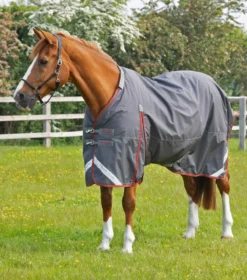Premier Equine Buster 150g Turnout With Classic Neck Cover Grey 8 Premier Equine Buster 150g Turnout With Classic Neck Cover Grey -Lemieux Shop AW21 Buster 150 Grey 3