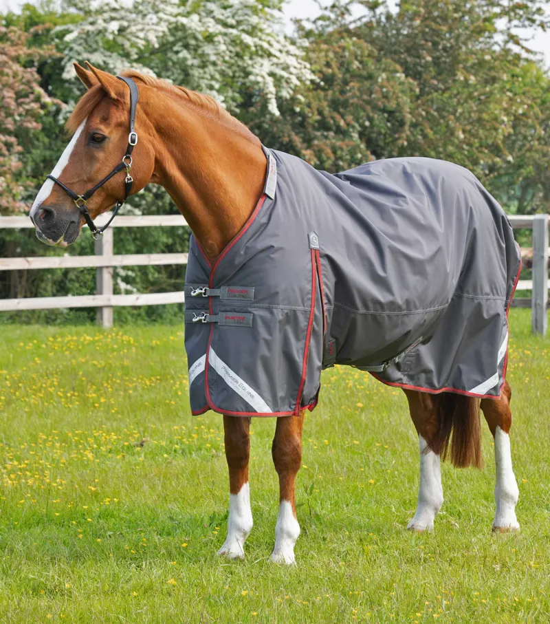 Premier Equine Buster 150g Turnout With Classic Neck Cover Grey 3 Premier Equine Buster 150g Turnout With Classic Neck Cover Grey - Image 3