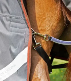 Premier Equine Buster 150g Turnout With Classic Neck Cover Grey 11 Premier Equine Buster 150g Turnout With Classic Neck Cover Grey -Lemieux Shop AW21 Buster 150 Grey 6