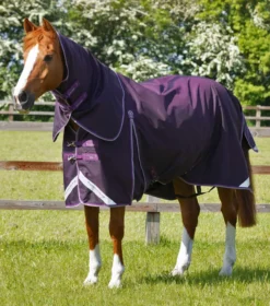Premier Equine Buster 70g Turnout Rug With Classic Neck Cover Purple