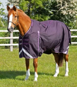 Premier Equine Buster 70g Turnout Rug With Classic Neck Cover Purple -Lemieux Shop AW21 Buster 70 Purple 3