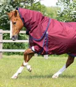 Premier Equine Buster 40g Turnout With Classic Neck Cover Burgundy -Lemieux Shop AW21 Buster40 Burgundy 2