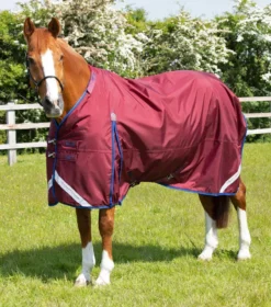 Premier Equine Buster 40g Turnout With Classic Neck Cover Burgundy -Lemieux Shop AW21 Buster40 Burgundy 3