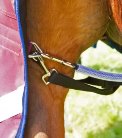 Premier Equine Buster 40g Turnout With Classic Neck Cover Burgundy -Lemieux Shop AW21 Buster40 Burgundy 6