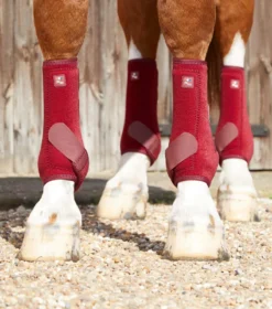 Premier Equine Air-Tech Sports Medicine Boots Burgundy -Lemieux Shop Air Tech Sports Medicine Boots Burgundy 3