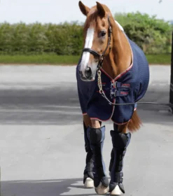 Premier Equine Airtechnology Knee Pro-Tech Horse Travel Boots Navy -Lemieux Shop Airtechnology Knee Pro Tech Travel Boots Navy 2