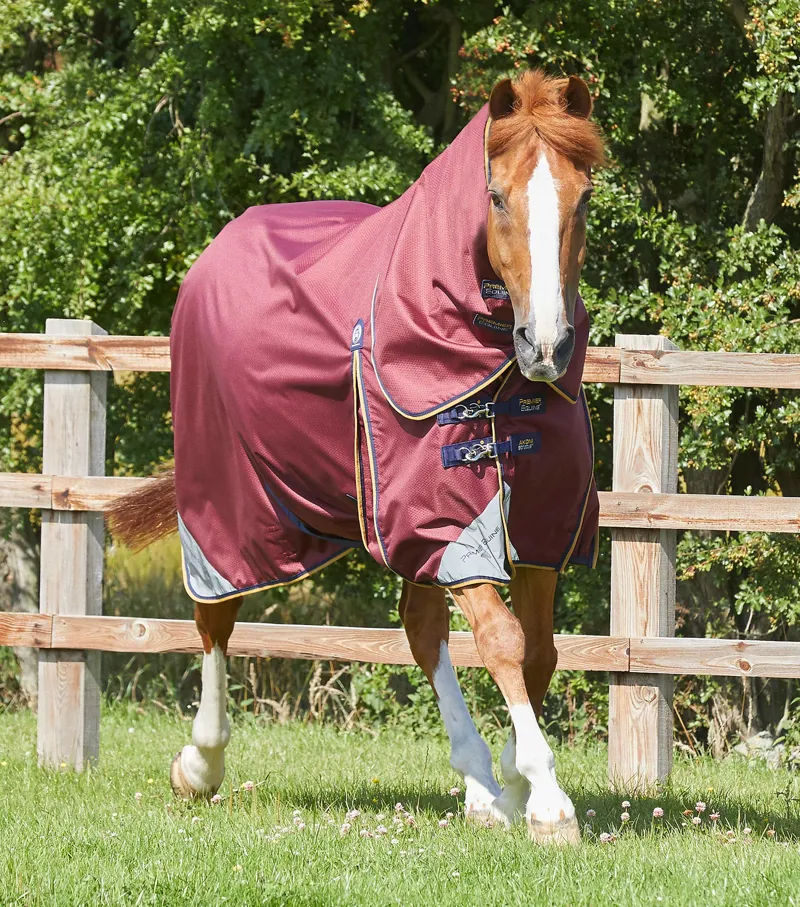 Premier Equine Akoni 0g Turnout With Classic Neck Cover Wine 1 Premier Equine Akoni 0g Turnout With Classic Neck Cover Wine