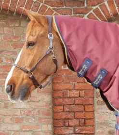 Premier Equine Akoni 0g Turnout With Classic Neck Cover Wine 7 Premier Equine Akoni 0g Turnout With Classic Neck Cover Wine -Lemieux Shop Akoni Stratus 0g Burgundy 3