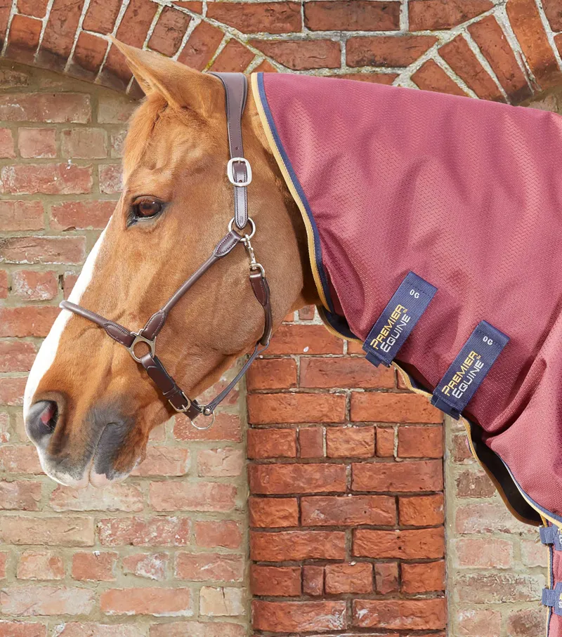 Premier Equine Akoni 0g Turnout With Classic Neck Cover Wine 3 Premier Equine Akoni 0g Turnout With Classic Neck Cover Wine - Image 3