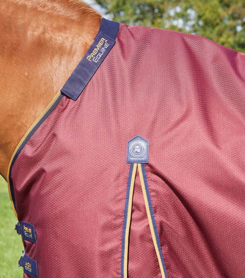 Premier Equine Akoni 0g Turnout With Classic Neck Cover Wine 4 Premier Equine Akoni 0g Turnout With Classic Neck Cover Wine - Image 4