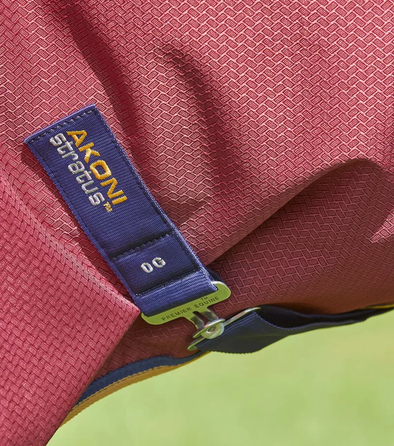 Premier Equine Akoni 0g Turnout With Classic Neck Cover Wine 5 Premier Equine Akoni 0g Turnout With Classic Neck Cover Wine - Image 5