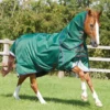 Premier Equine Akoni 0g Turnout With Classic Neck Cover Green