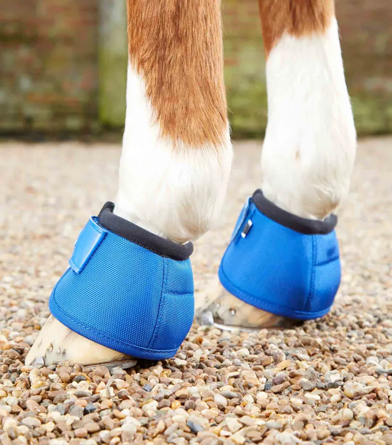 Premier Equine Ballistic No-Turn Over Reach Boots Royal Blue 2 Premier Equine Ballistic No-Turn Over Reach Boots Royal Blue - Image 2