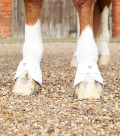 Premier Equine Ballistic No-Turn Over Reach Boots White 6 Premier Equine Ballistic No-Turn Over Reach Boots White -Lemieux Shop Ballistic No Turn Over Reach Boots White 3