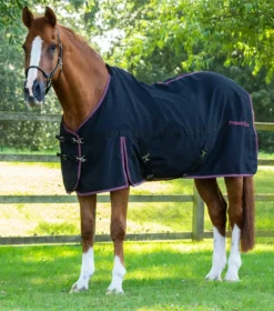 Premier Equine Barrasso Stable Sheet Black