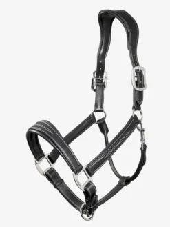 LemIeux Stitched Leather Headcollar Black