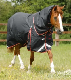 Premier Equine Buster 100g Turnout Rug With Snug-Fit Neck Cover Black