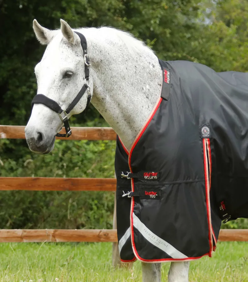 Premier Equine Buster 100g Turnout Rug With Snug-Fit Neck Cover Black 2 Premier Equine Buster 100g Turnout Rug With Snug-Fit Neck Cover Black - Image 2