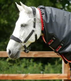 Premier Equine Buster 100g Turnout Rug With Snug-Fit Neck Cover Black 8 Premier Equine Buster 100g Turnout Rug With Snug-Fit Neck Cover Black -Lemieux Shop Buster 100 Turnout Rug Black 3