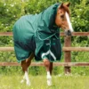 Premier Equine Buster 200g Turnout Rug With Snug-Fit Neck Cover Green