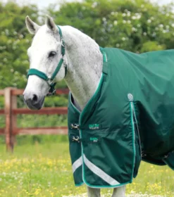 Premier Equine Buster 200g Turnout Rug With Snug-Fit Neck Cover Green -Lemieux Shop Buster 200 Turnout Rug Green 2
