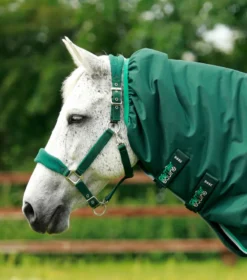 Premier Equine Buster 200g Turnout Rug With Snug-Fit Neck Cover Green -Lemieux Shop Buster 200 Turnout Rug Green 3