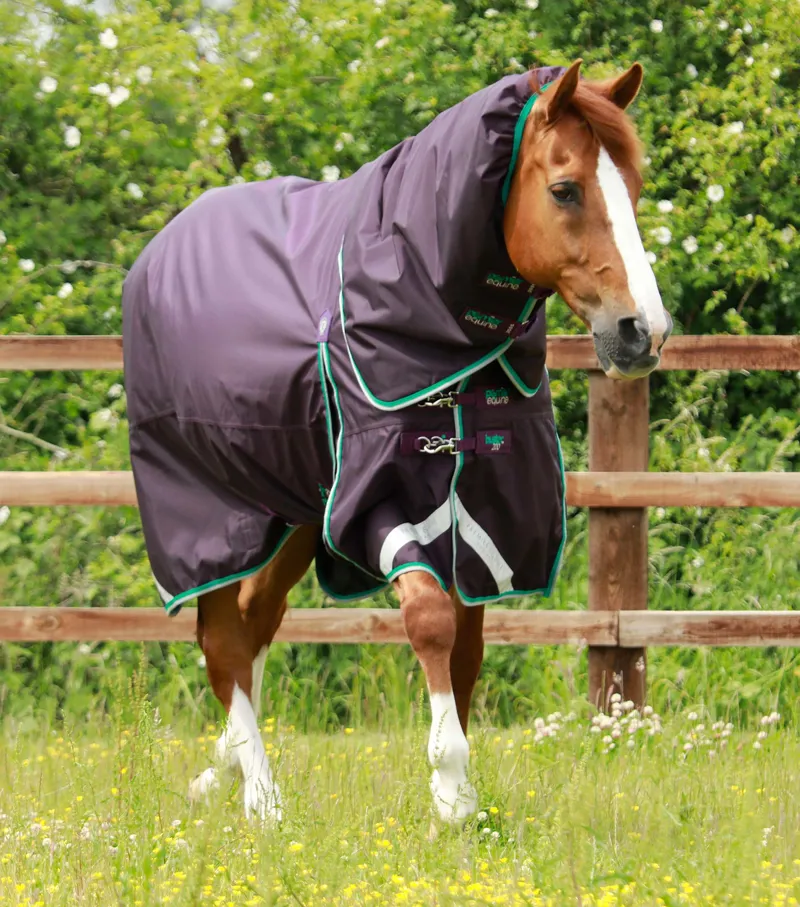 Premier Equine Buster 200g Turnout Rug With Snug-Fit Neck Cover Purple 1 Premier Equine Buster 200g Turnout Rug With Snug-Fit Neck Cover Purple