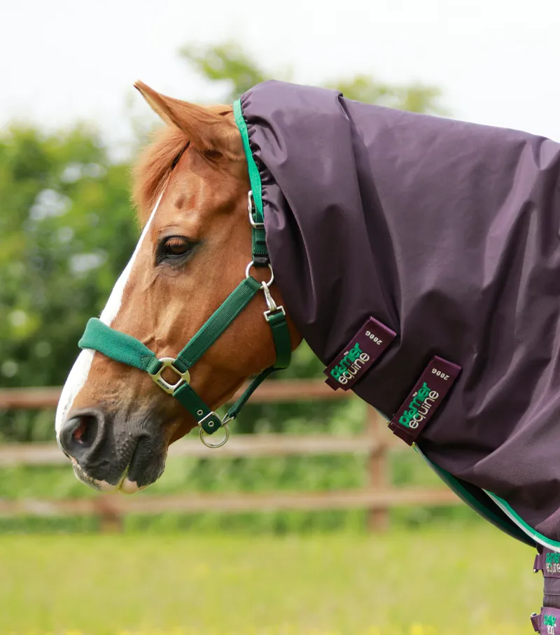 Premier Equine Buster 200g Turnout Rug With Snug-Fit Neck Cover Purple 3 Premier Equine Buster 200g Turnout Rug With Snug-Fit Neck Cover Purple - Image 3