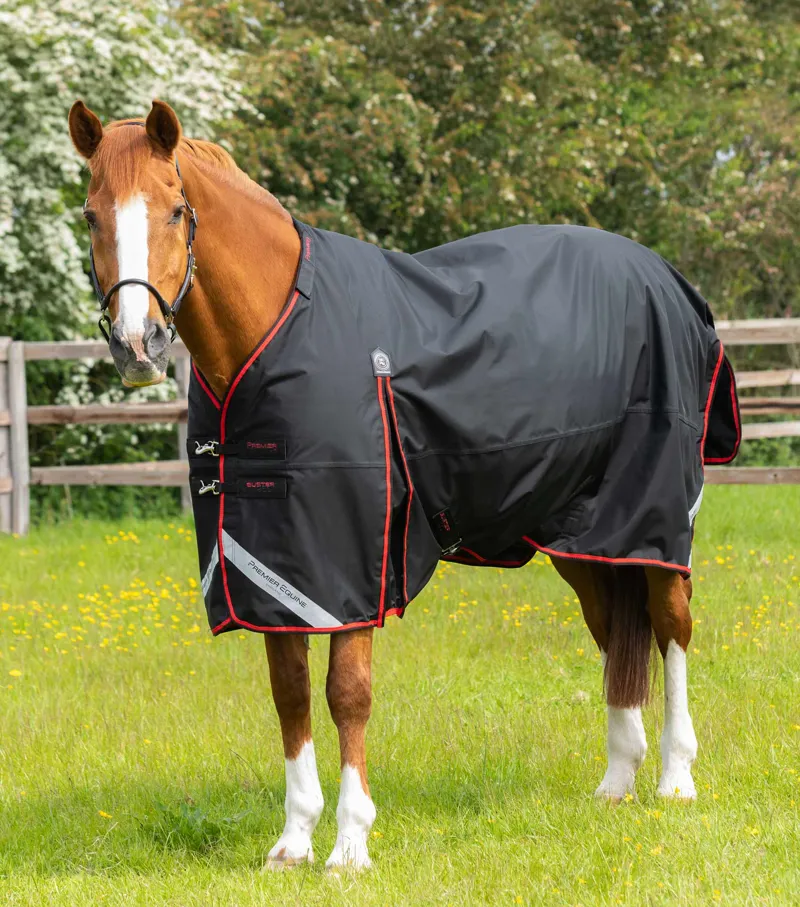Premier Equine Buster 250g Turnout Rug With Classic Neck Cover Black 3 Premier Equine Buster 250g Turnout Rug With Classic Neck Cover Black - Image 3