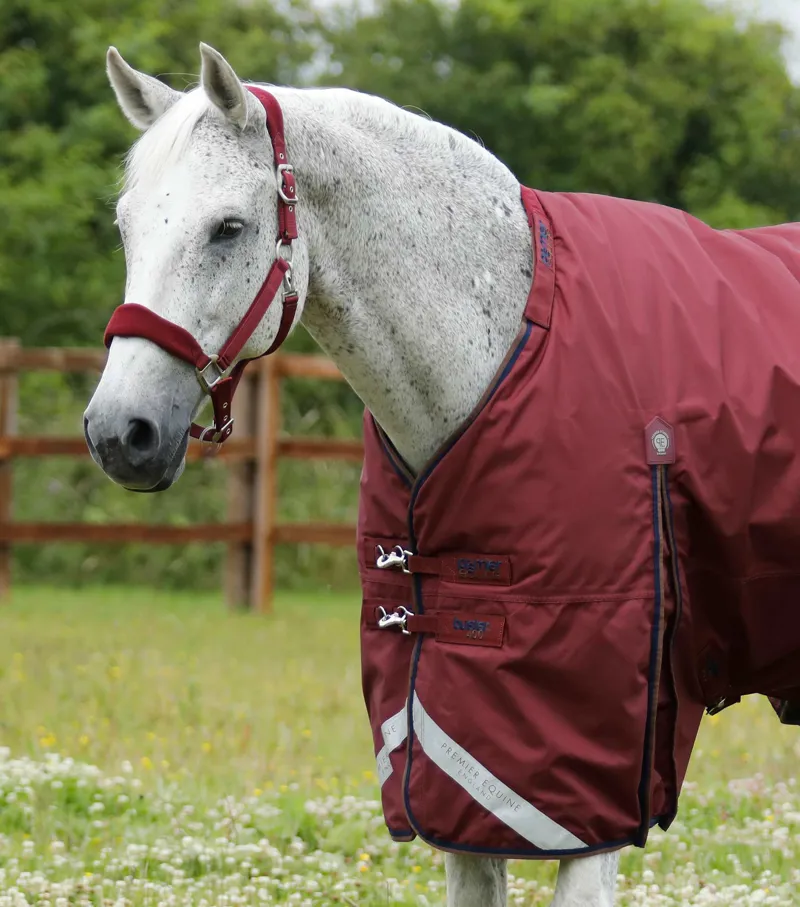 Premier Equine Buster 400g Turnout Rug With Snug-Fit Neck Cover Burgundy 2 Premier Equine Buster 400g Turnout Rug With Snug-Fit Neck Cover Burgundy - Image 2