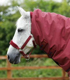 Premier Equine Buster 400g Turnout Rug With Snug-Fit Neck Cover Burgundy 8 Premier Equine Buster 400g Turnout Rug With Snug-Fit Neck Cover Burgundy -Lemieux Shop Buster 400 Turnout Rug Burgundy 3