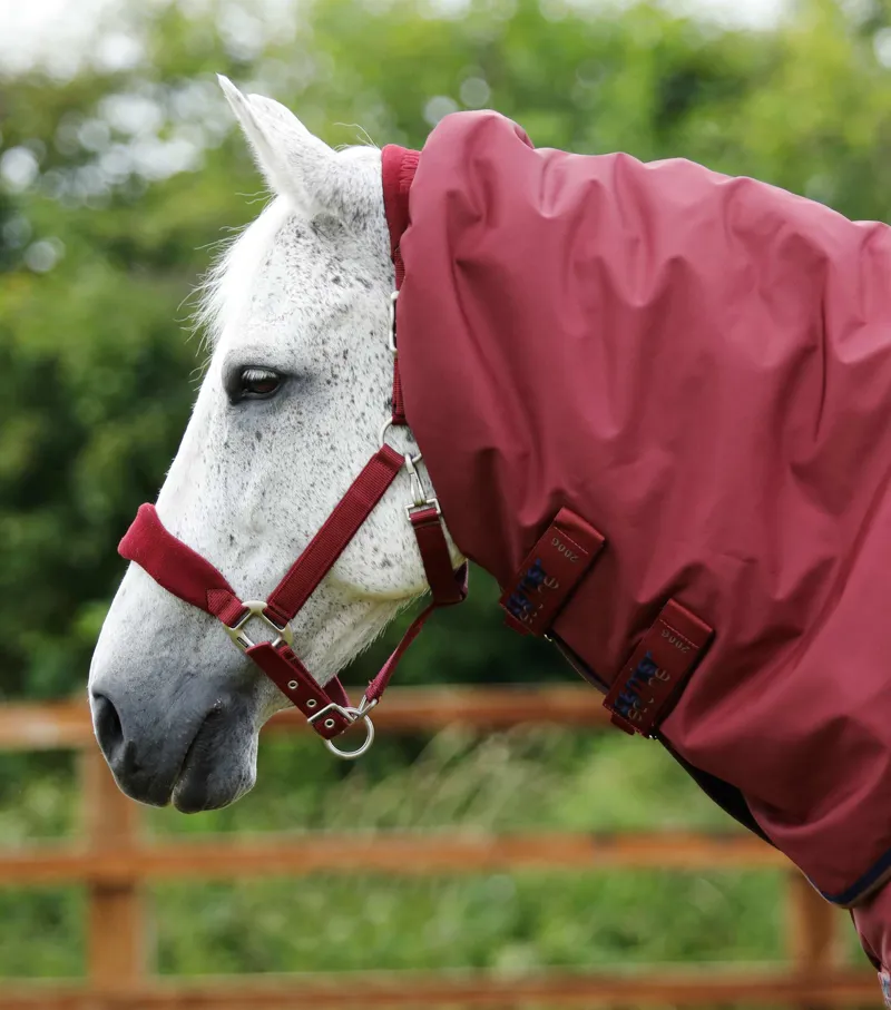 Premier Equine Buster 400g Turnout Rug With Snug-Fit Neck Cover Burgundy 3 Premier Equine Buster 400g Turnout Rug With Snug-Fit Neck Cover Burgundy - Image 3