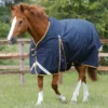 Premier Equine Buster 50g Original Turnout Rug Navy