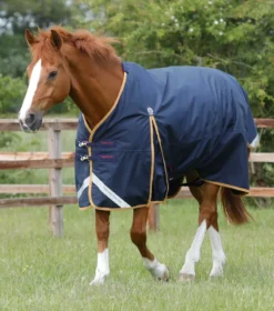 Premier Equine Buster 50g Original Turnout Rug Navy
