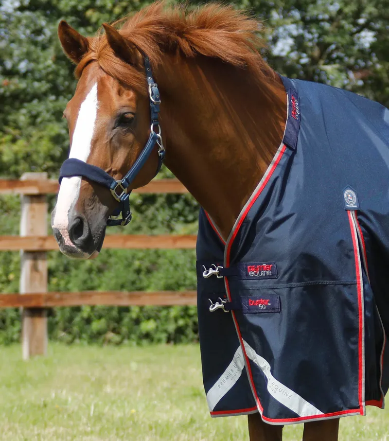 Premier Equine Buster 50g Turnout Rug With Snug-Fit Neck Cover Navy 2 Premier Equine Buster 50g Turnout Rug With Snug-Fit Neck Cover Navy - Image 2