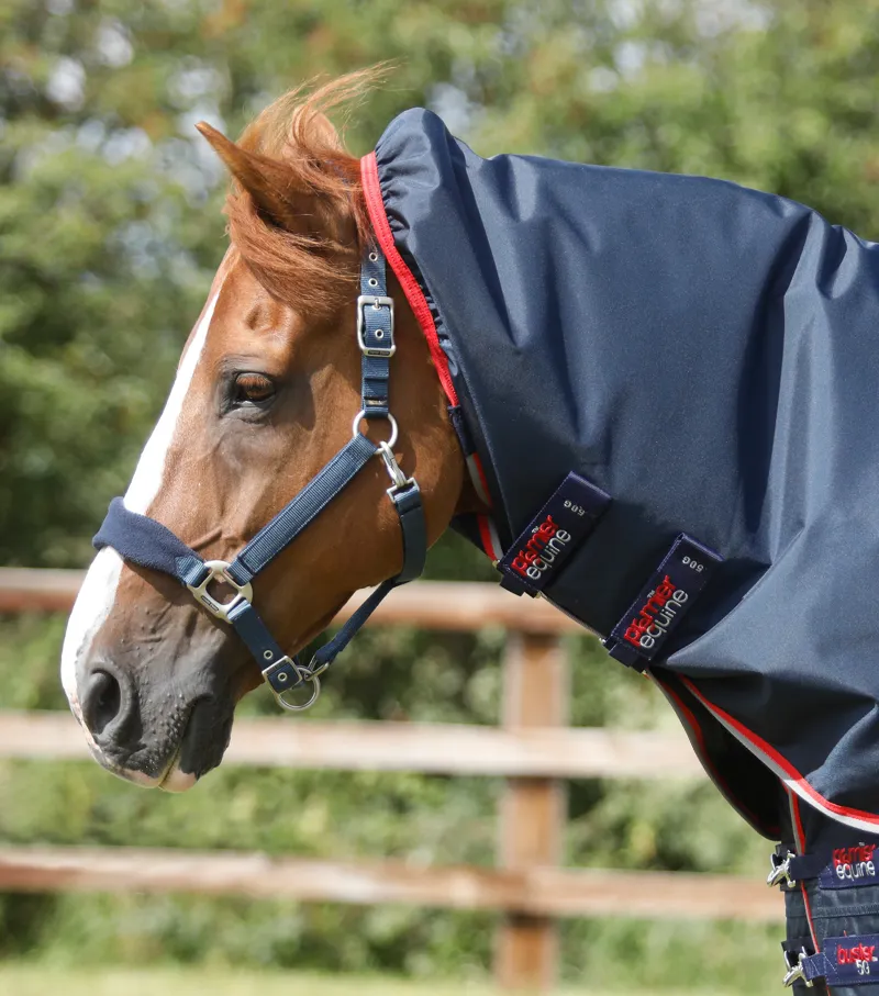 Premier Equine Buster 50g Turnout Rug With Snug-Fit Neck Cover Navy 3 Premier Equine Buster 50g Turnout Rug With Snug-Fit Neck Cover Navy - Image 3