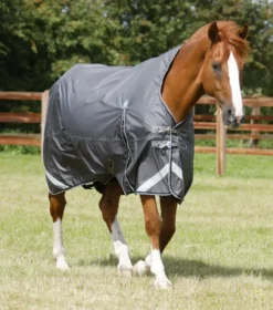 Premier Equine Buster Hardy 0g Half Neck Turnout Rug Grey