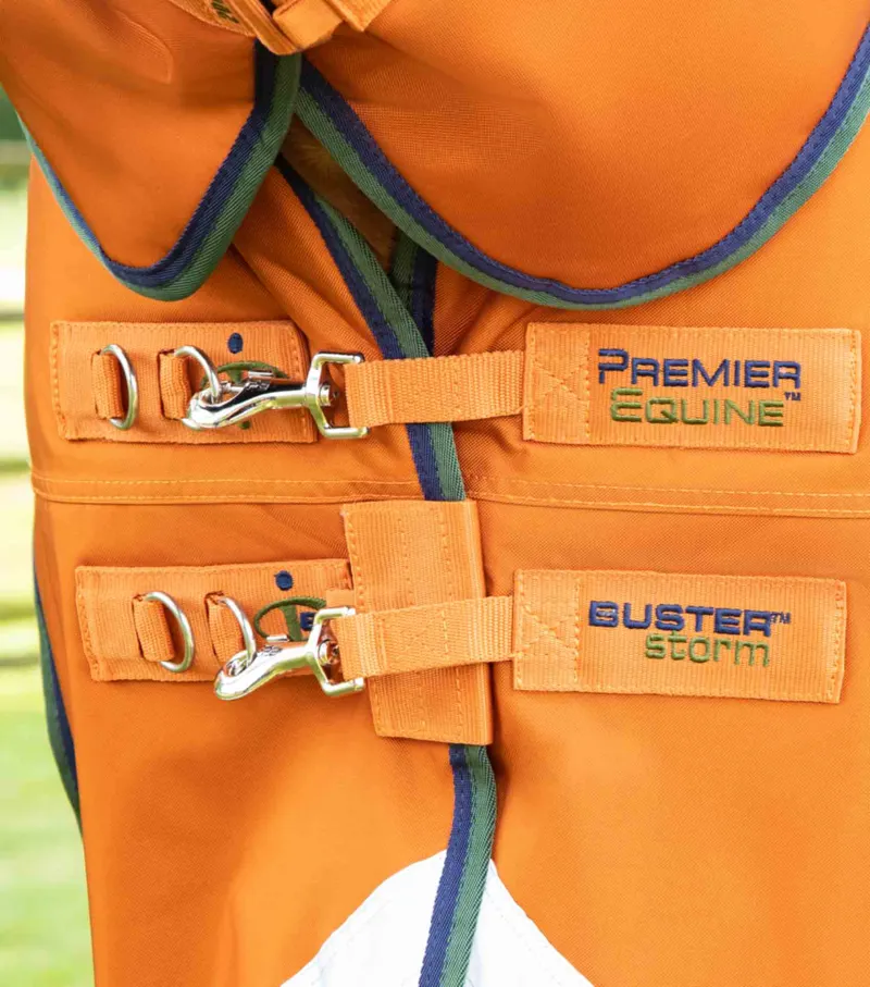 Premier Equine Buster Storm 400g Combo Turnout Rug With Classic Neck Burnt Orange 3 Premier Equine Buster Storm 400g Combo Turnout Rug With Classic Neck Burnt Orange - Image 3
